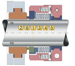 RTWB2 (2)